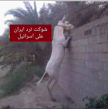 StpSpt's tweet photo. @Omar_Madaniah https://t.co/9ViiFoYTYa