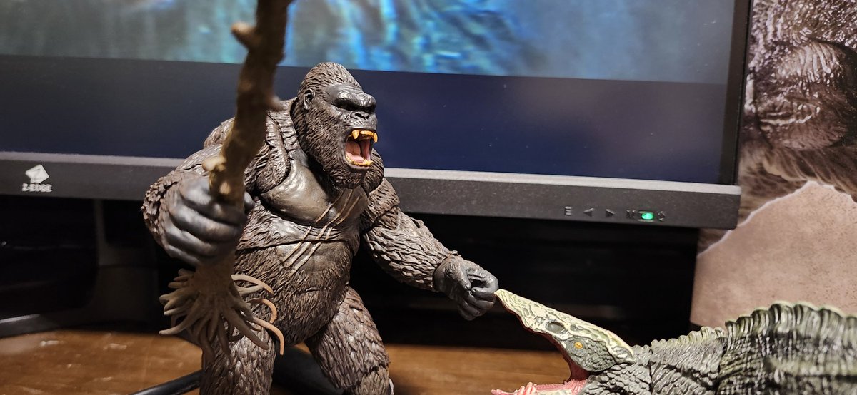 gfwavp100's tweet photo. そして、新たに最近来たのがこちら🦍
🟦#HiyaToys🟦による🦍#キングコング髑髏島の巨神/#KONGSKULLISLAND💀の🦍#コング/#KONG🦍です。やはりS.H.MonsterArtsに勝る造形で、同じHiyaの💀#スカル・クローラー🦎#SKULLCRAWLER💀改め☠️#スカルデビル🦎#SKULLDEVIL☠️との劇中の組み合わせも良きです🌳💥 https://t.co/68GrA6Ci14