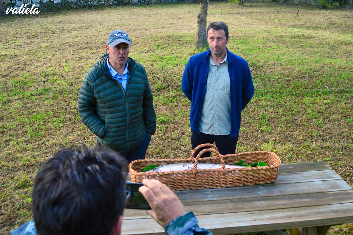 David Valiela tweet media