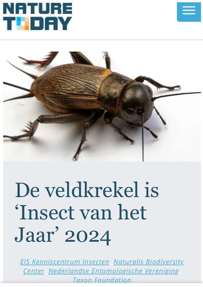 Je ziet hem niet maar hoort hem wel. De veldkrekel. Het geluid geeft voor velen het ultieme zomergevoel. Zijn verscholen leven maakt deze soort extra interessant en leuk!