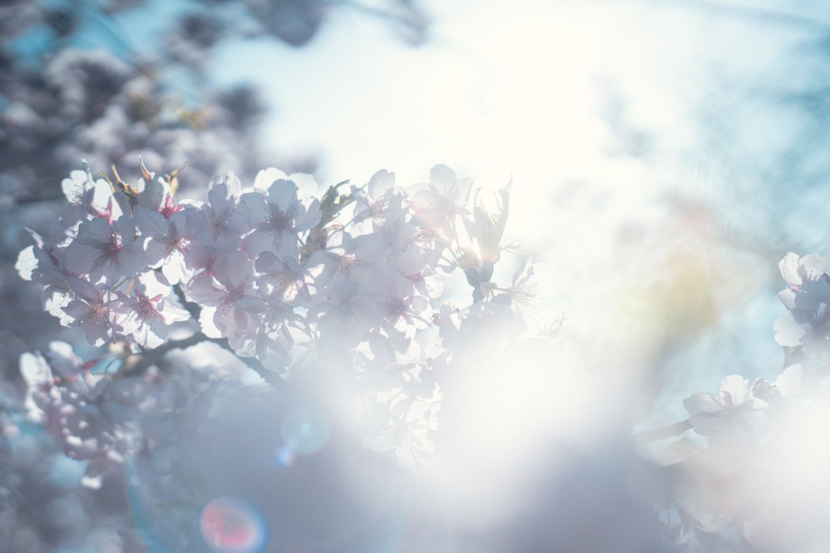 _shuto_filmsss's tweet photo. blue film. https://t.co/ceyrrAtgOR