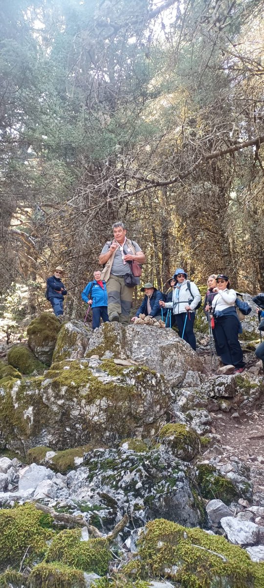 asdeaakela's tweet photo. Continuamos nuestro paseo inmortalizando en fotos este grupo de scouts adultos reunidos para disfrutar de la naturaleza, conocerla y protegerla. https://t.co/DHiBd3wRgF