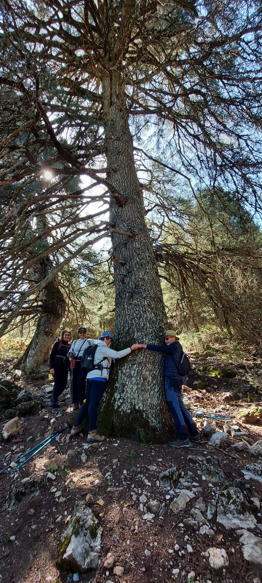 asdeaakela's tweet photo. Continuamos nuestro paseo inmortalizando en fotos este grupo de scouts adultos reunidos para disfrutar de la naturaleza, conocerla y protegerla. https://t.co/DHiBd3wRgF