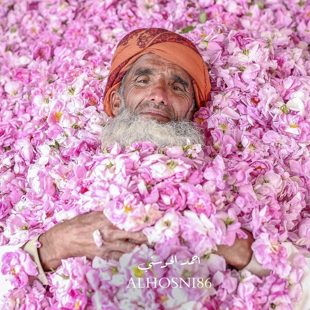 غارق في نعيم الورد🌸✨ قم بزيارة #الجبل_الأخضر لمشاهدة أعجوبة موسمية رائعة #موسم_الورد 🌸 📸أحمد الحوسني #عُمان #عُمان_بعيونك #اكتشف_عُمان #للجمال_عنوان