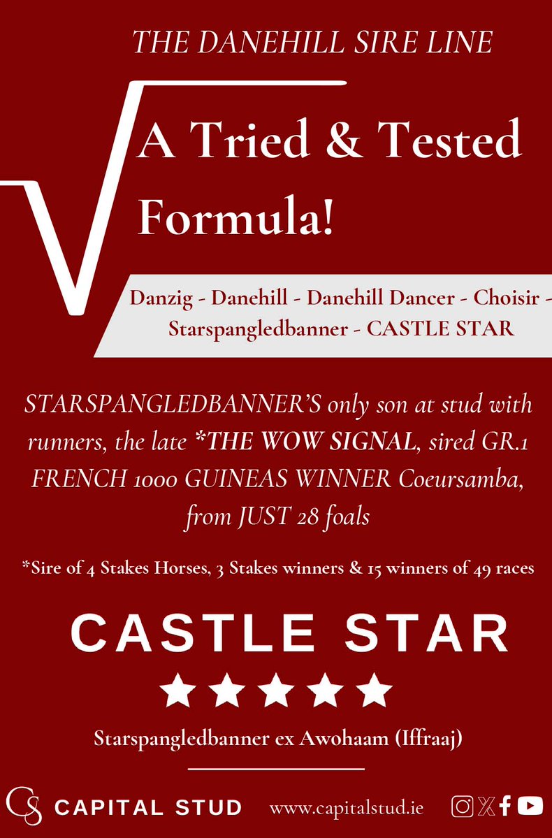 💥 @Capital_Stud's CASTLE STAR 💥

The Danehill sire line = A tried & tested formula ‼️

🏆 Danzig - Danehill - Danehill Dancer - Choisir - Starspangledbanner - CASTLE STAR

See below for more info or visit ⬇️
capitalstud.ie/castle-star #ReadAllAboutIt
