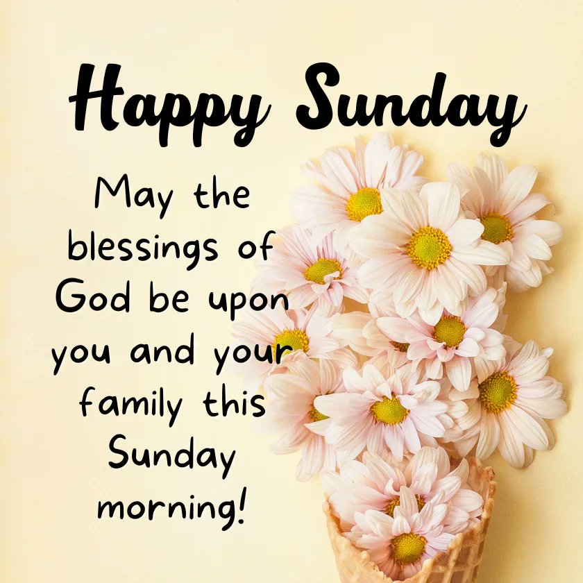 @Dianne__LadyD #SundayBlessings #TwitterFriends Gorgeous Sunday Dianne 🌼