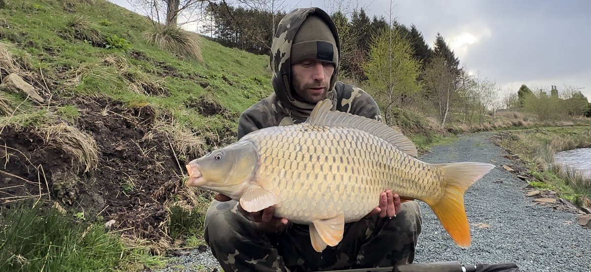 Put up a good fight these commons 💪🏻 tucked myself away on the back lake after turning up on Saturday after work and this morning this little cracking common paid me a visit 🙌🏻🎣 #carpfishing