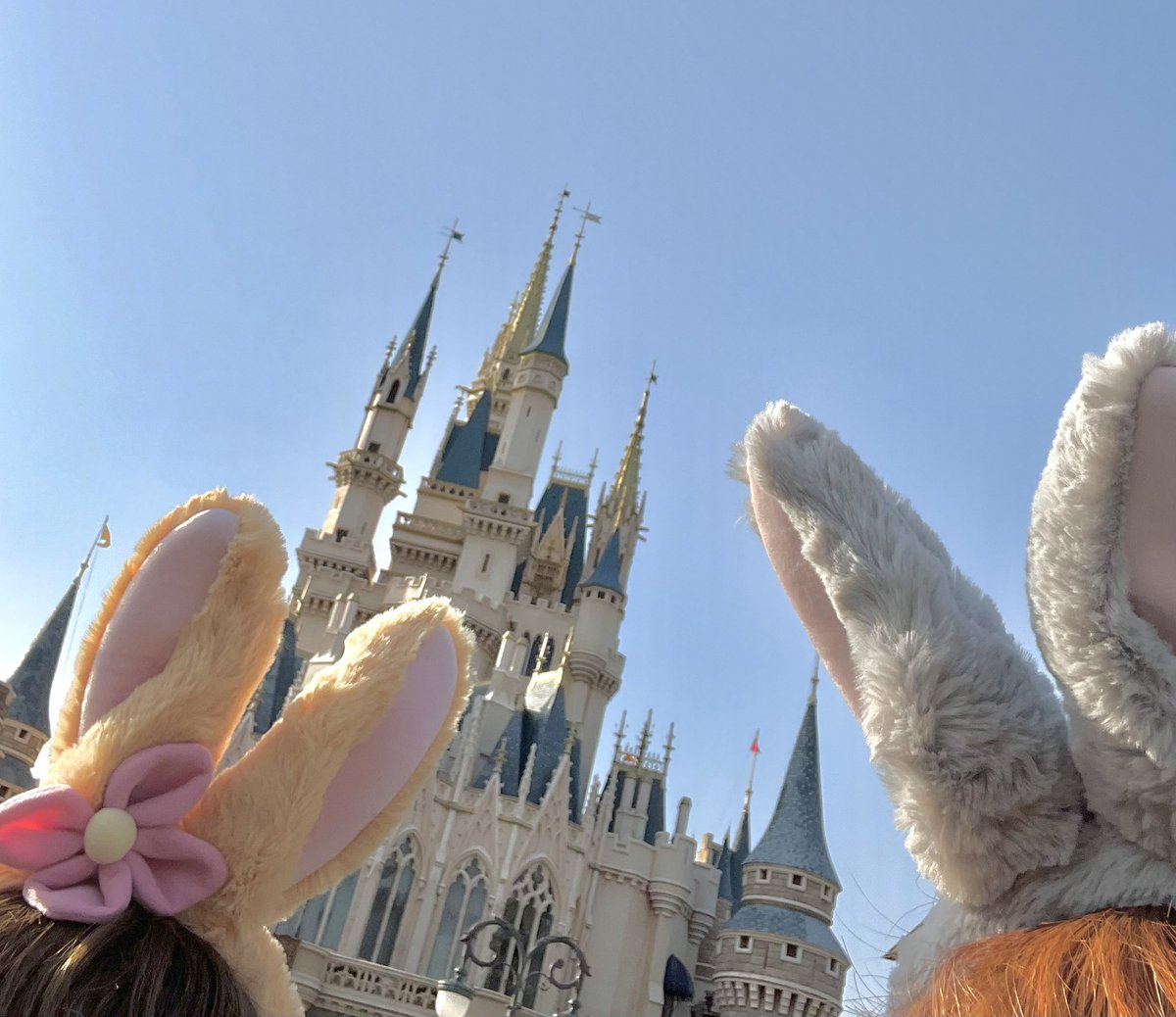 1人でディズニー行ってきた🐏