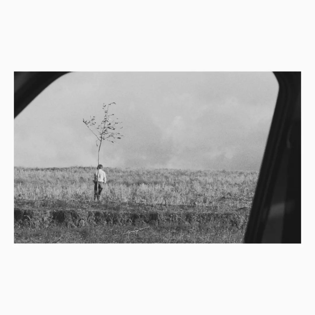 Dilanovski tweet media