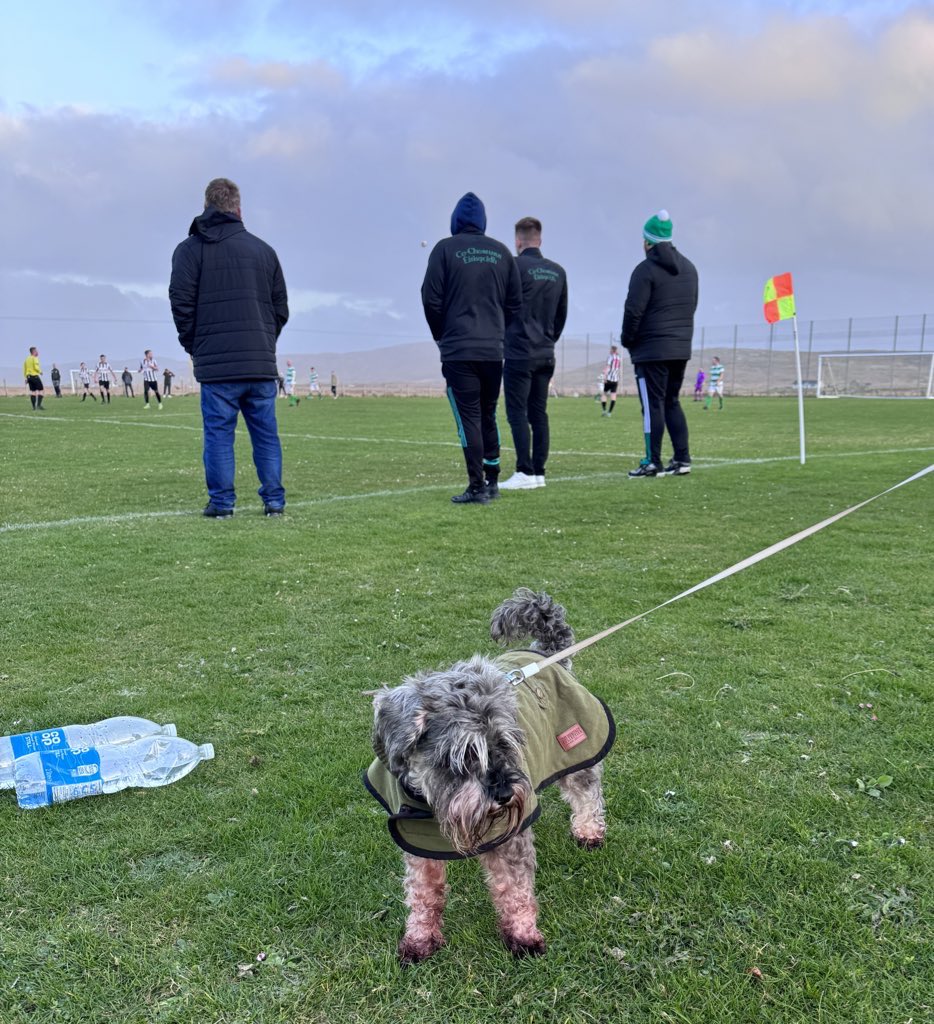 Steven Dow (@afootballman) on Twitter photo Here’s Dora taking in Southend v <a href="/EriskayFC/">Eriskay Football Club</a> in the Uist & Barra Amateur League
<a href="/nonleaguedogs/">nonleaguedogs</a> Here’s Dora taking in Southend v <a href="/EriskayFC/">Eriskay Football Club</a> in the Uist & Barra Amateur League
<a href="/nonleaguedogs/">nonleaguedogs</a>