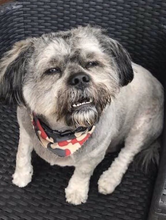 NC_Renic's tweet image. Academics: “Turning From the Critical Turn: A New Approach to Critically Unpacking the Critique - a Critical Appraisal”

Normal humans: