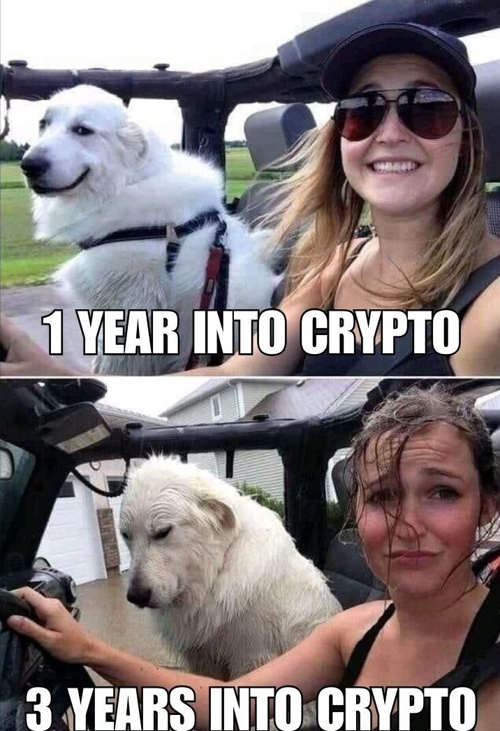 onlycryptos69's tweet photo. I feel u bro... #BitcoinHalving2024 #cryptocrash #Crypto #Ethererum #moneyslave #stockmarketcrash #BusinessGrowth #SHIB #bitcoin #RMCMMA #TTSSongkran2024 #LaDivinaComida https://t.co/qttSXhJGFK