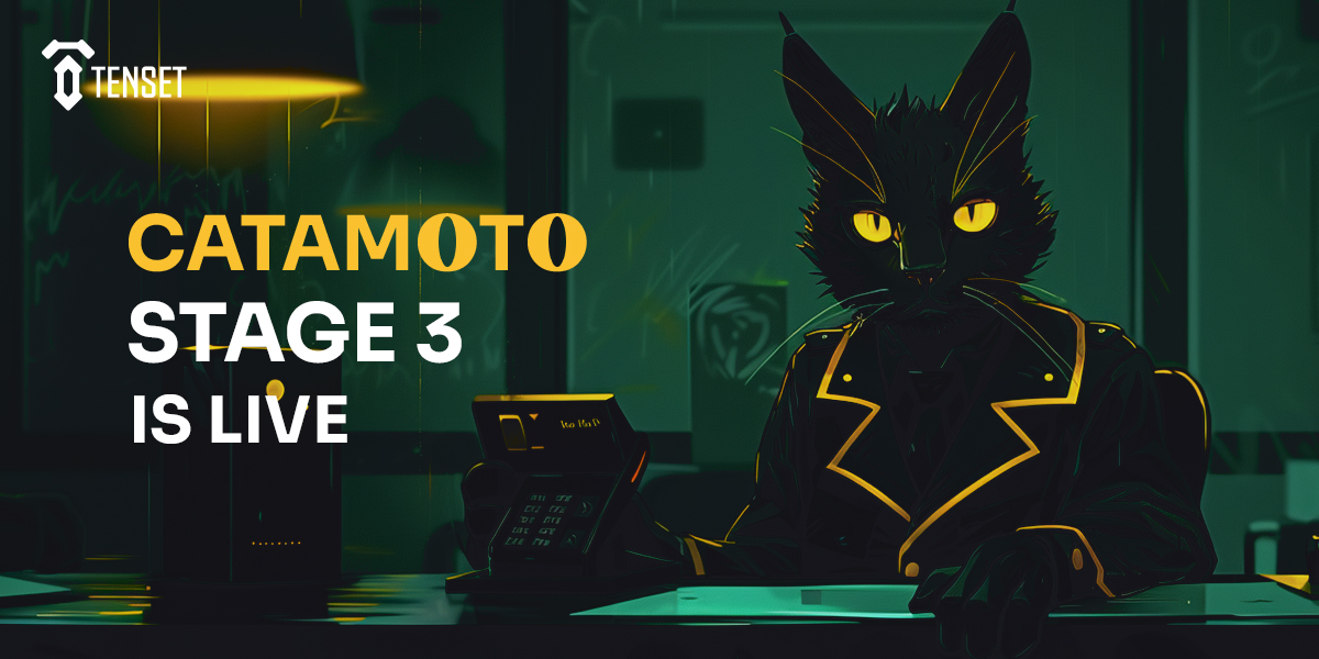 Round 3 @4catamoto IDO is live! #10SET token holders can secure their guaranteed allocation now 👉 catsale.catamoto.cat Open for 24 hours ⏳ Full allocation details 👉 tenset.io/en/news/round-… Be careful of scams! $CATA is not trading yet. Launch April 19 on @PancakeSwap.