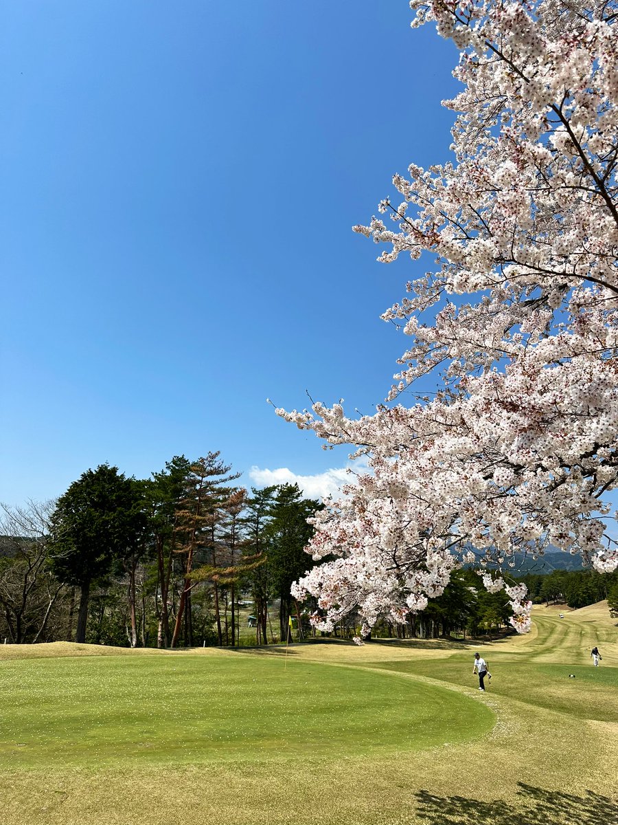 今日は県北ホームの研修会⛳️🌸 最高の気候で半袖プレーできました🏌️‍♂️ やっぱり重量のあるピン型パターは合わん(⌒-⌒; )←ストレスでしかない 急に日に当たったせいか16番から体が重い💦まぁ電池切れなんだろうな🪫 この体で戦うのは結構厳しいなぁ😥←しこたまニンニク食べよ🧄 394281