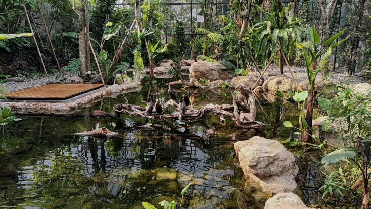 buat kalian yg punya anak kecil, gue rasa Animalium BRIN ini destinasi yg layak kalian kunjungi. 90k/person dapet wisata edukasi yg super komplit. 18 part bangunan. mulai dr binatang yg diawetin, binatang hidup, sampe aviary. super gede tempatnya. full ac. 

📍BRIN Bogor
11/10
