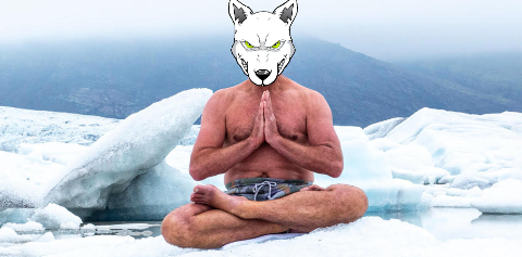 VoltInuOfficial's tweet photo. Covid crash before the last #BTC halving... 

Study it, then #VOLT it ⚡️ https://t.co/xqG45ch1da