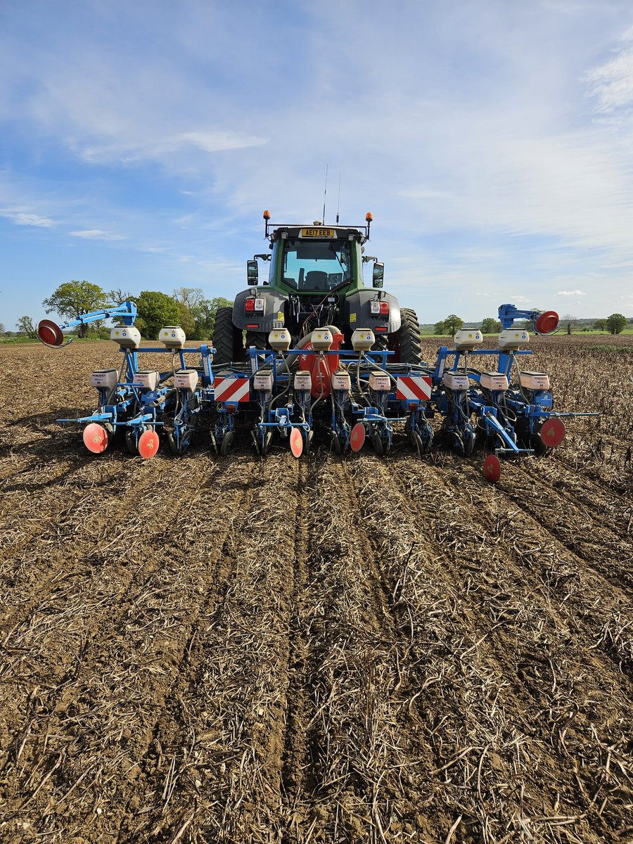 Aaron Hogsbjerg tweet media