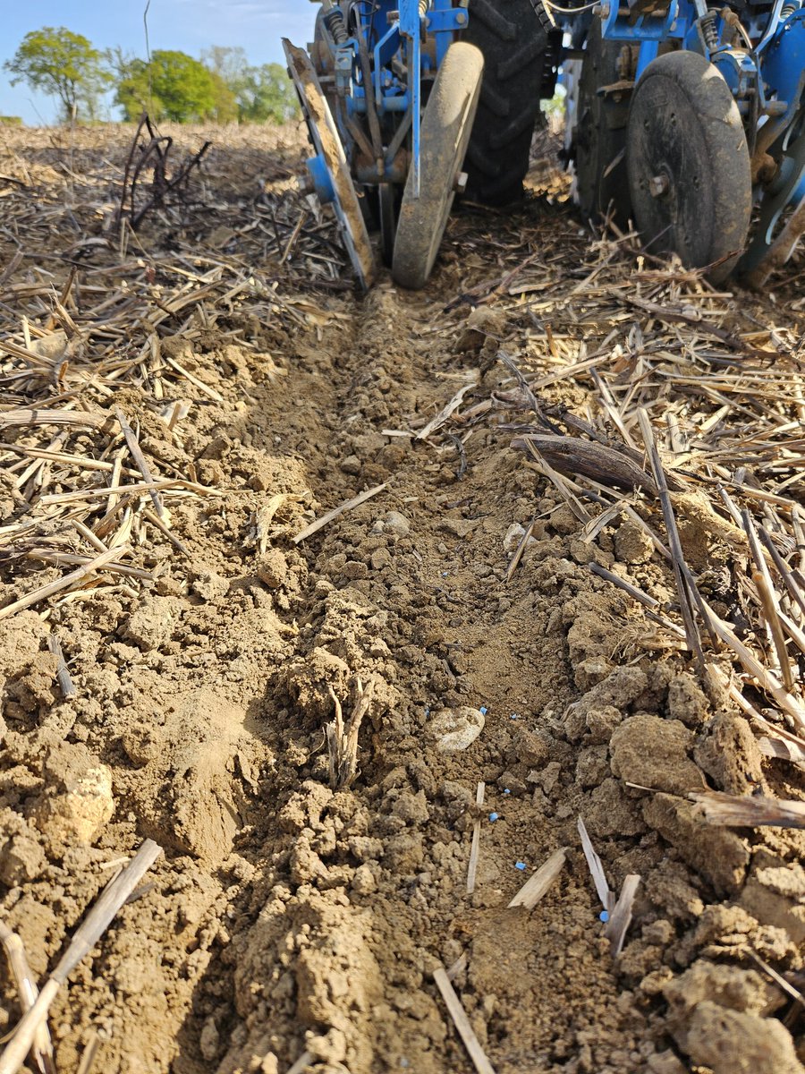 Aaron Hogsbjerg tweet media