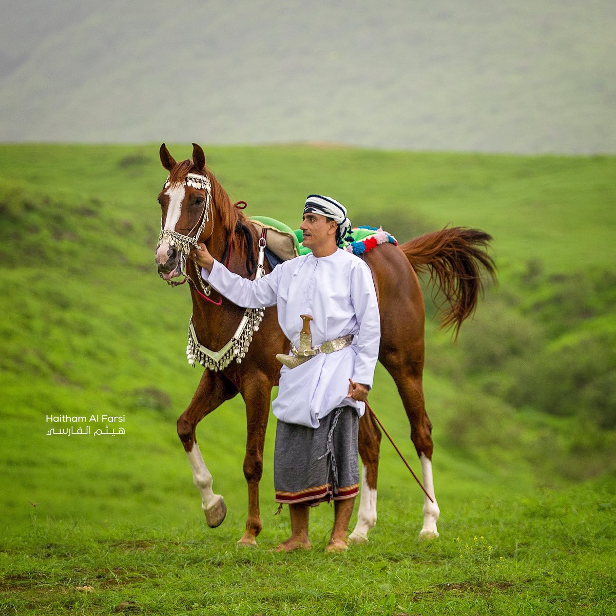 'عُمـانِيُّونَ تحملنا المعاني وَمِنْ شيم الْكِرَامِ نَتِيهُ فَخْرا'