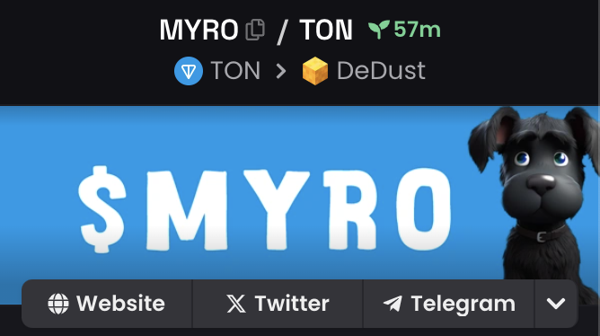 myrotondog's tweet photo. Dexscreener updated⚡️ https://t.co/sNCtPiZVTP