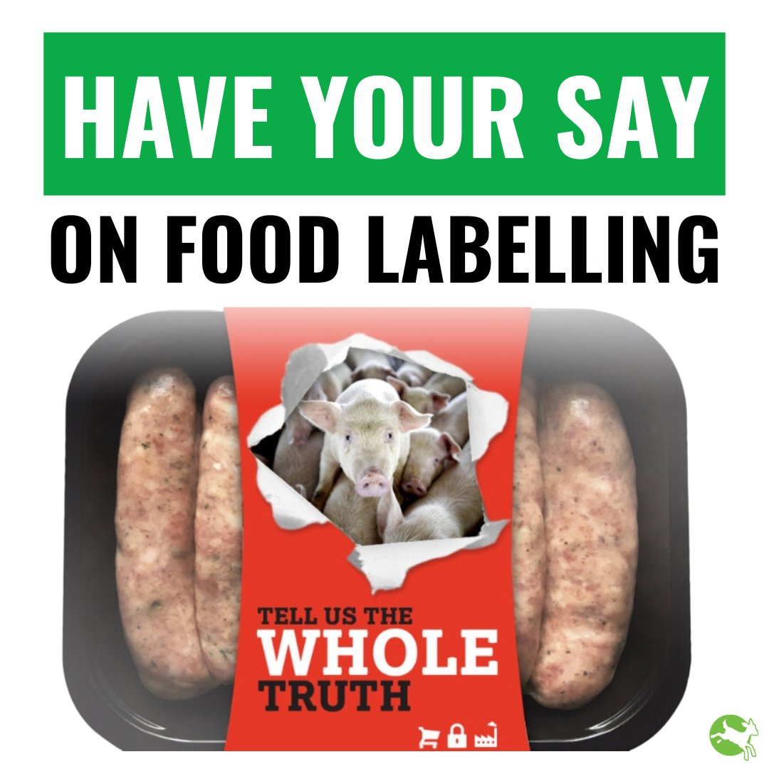 📣 TAKE ACTION: The UK Government has launched a consultation on food labelling. We need you to tell them we need mandatory animal welfare labelling. Add your voice: bit.ly/3W3oOdY