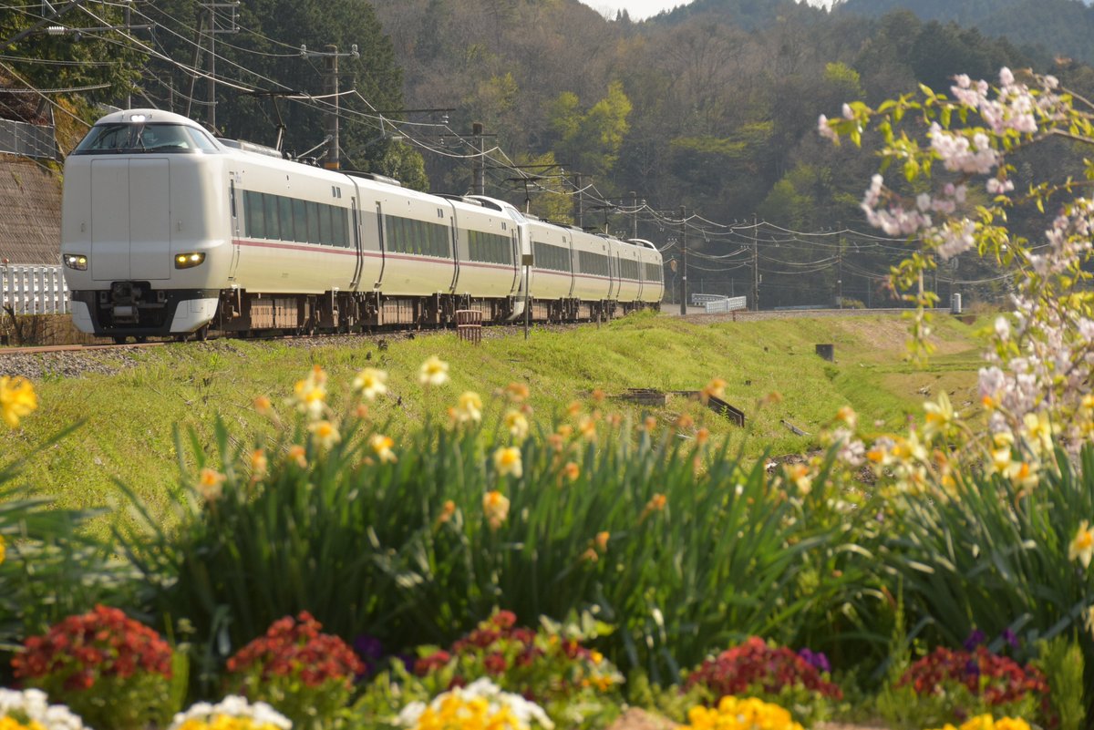 stream302620's tweet photo. 2024年4月13日㈯

桜もだいぶ散ってしまいましたが朝来地区では
まだまだ見ごろの場所もありました。

今年は和田山→竹田の河岸の菜の花が見事です。 https://t.co/lN9emnJthe