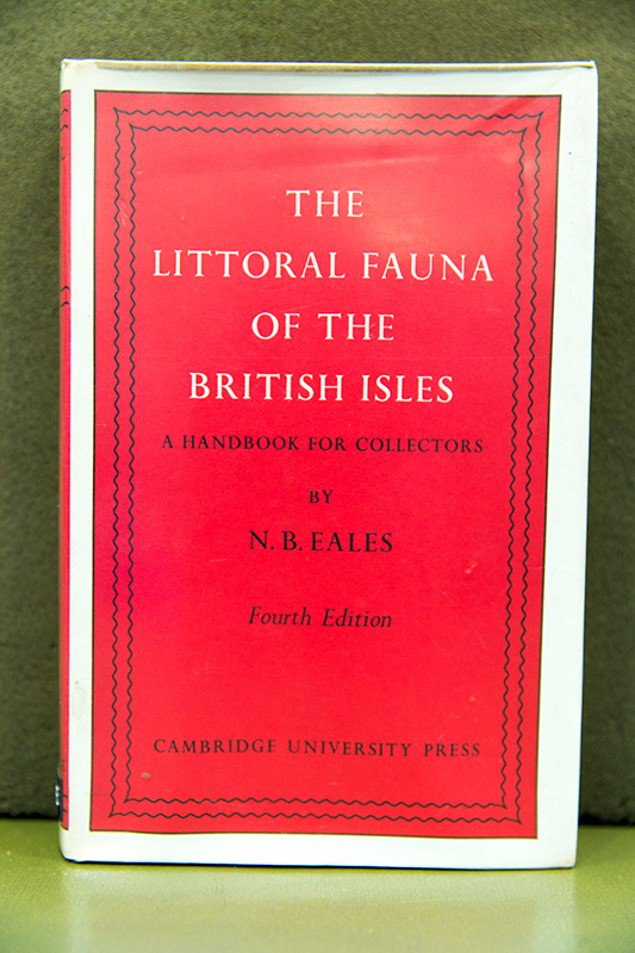 ZSLLibrary's tweet photo. Marine biologist Nellie Eales was born #OTD 1889. Awarded a PhD in 1921 for work on cheese mites
@UniofReading; DSc in 1926 for a study of anatomy in foetal African elephants, the subject of this #free to access #reasearchpaper @JZoology : https://t.co/DUazbwnuYt #WomenInSTEM https://t.co/ZZb6Y3YwM4