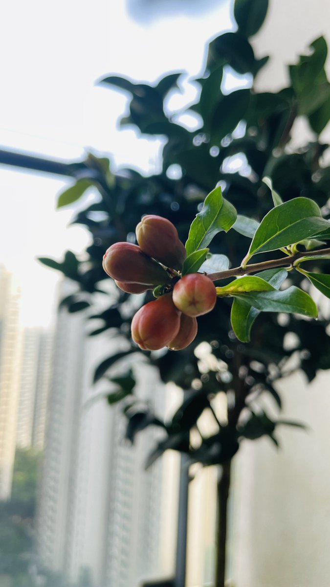 高效如闪电的whatsApp筛选，ws协议号，认准制胜商机，联系我们- 认准云端Cloud TG：@dyzhu001.rfp