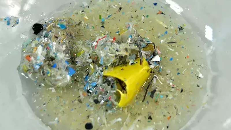 'Mikroplastik, kısırlığa ve otizme neden olabilir' dha.com.tr/2421325