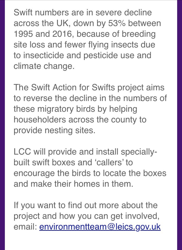 Some heartening news for #Swifts across Leicestershire for you @WriterHannahBT