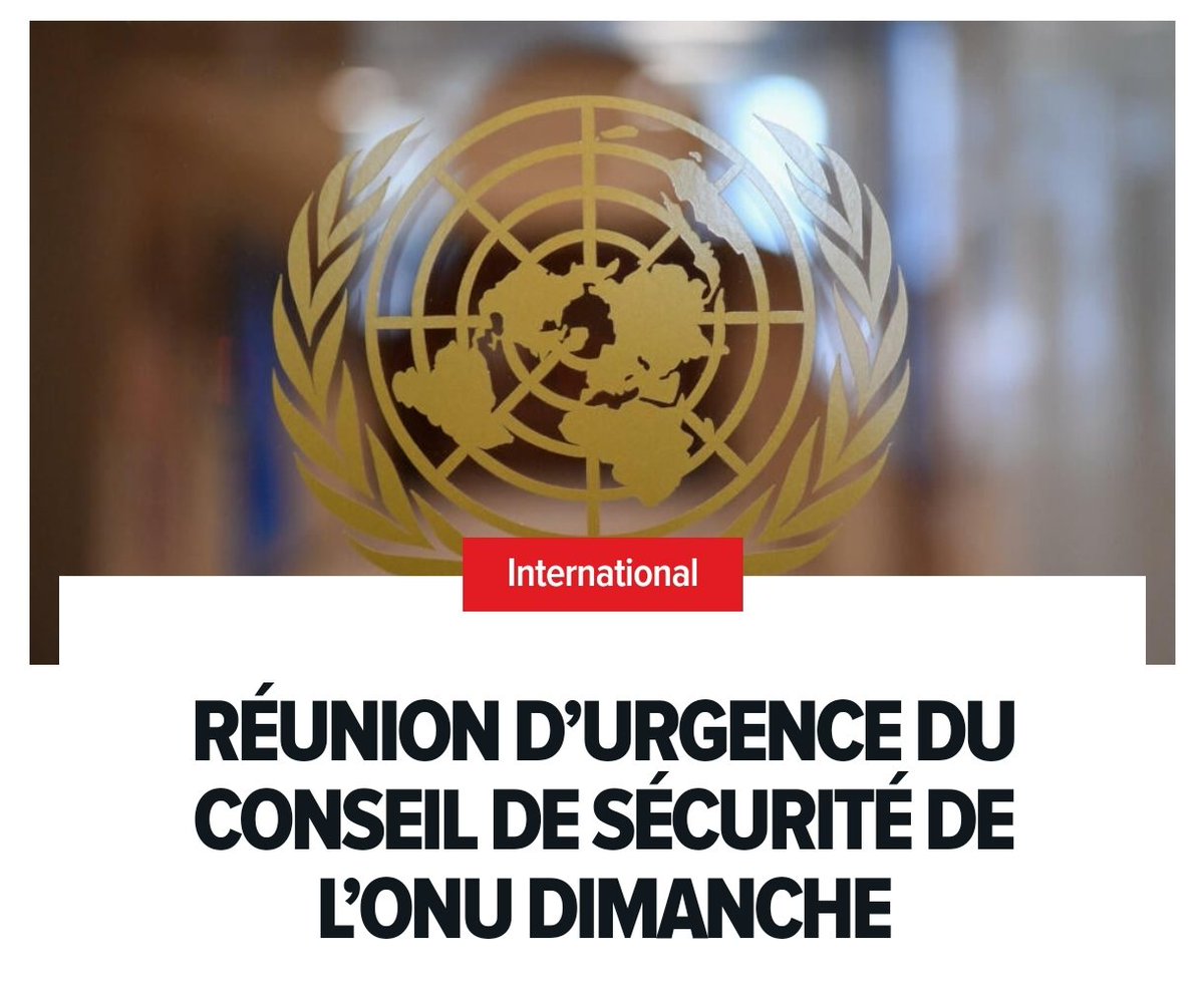 lesadikh tweet media