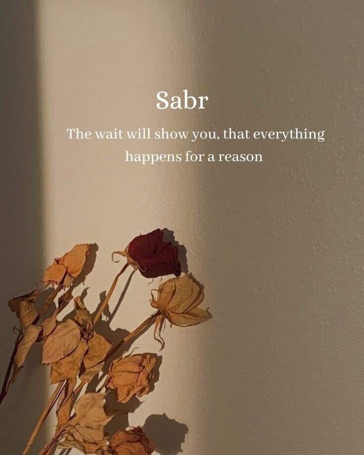 TalhaRe45889144's tweet photo. Good afternoon #savas #cryptocrash #IranAttack #IranAttackIsrael https://t.co/pDOGbdaFpy