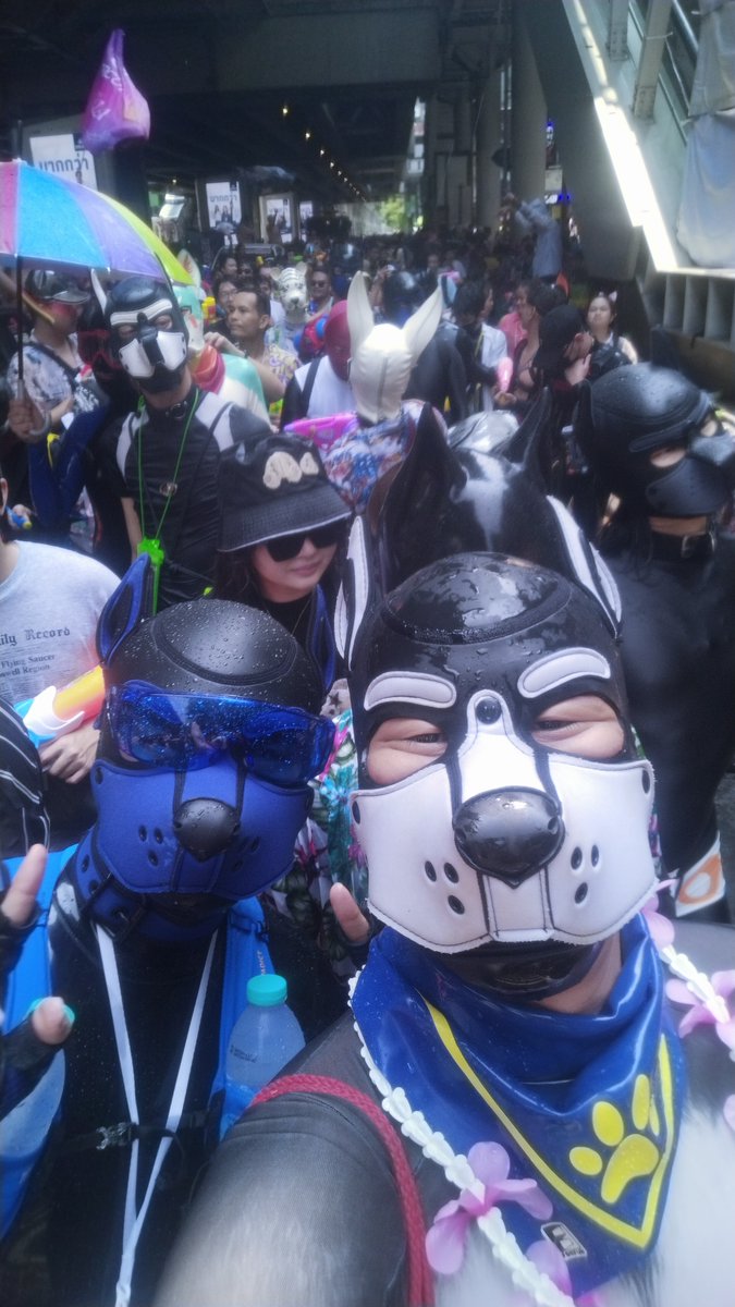 Puppies from far away countries come to play Songkran. 💦 Blue Puppy 🐾💙 @N_anonymous1