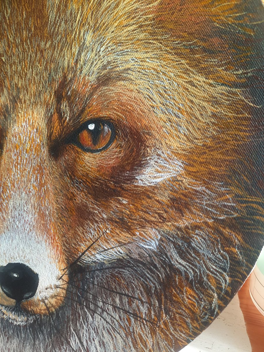 Making some progress though only half finished. #MHHSBD #foxes #keeptheban #wildlife #art #wipart #workinprogress