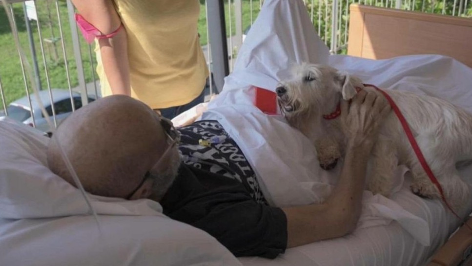 Quando l'affetto di un cucciolo scalda il cuore di un bambino che non potrà guarire. 
#PetTherapy
