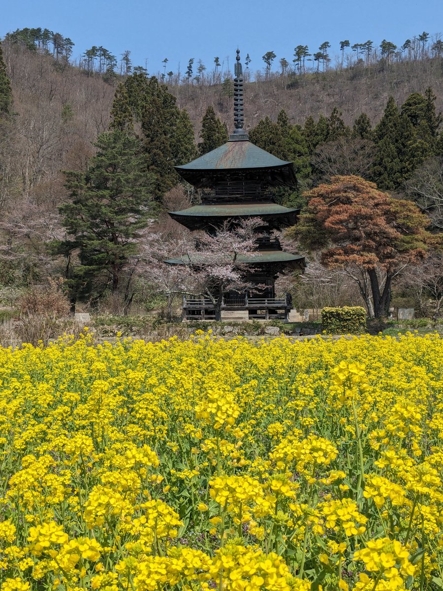 My motorcycl trip 春の陣終了

会津柳津温泉〜自宅  204km
22日間の旅の全走行距離 3332km

当分有名観光地には行かない