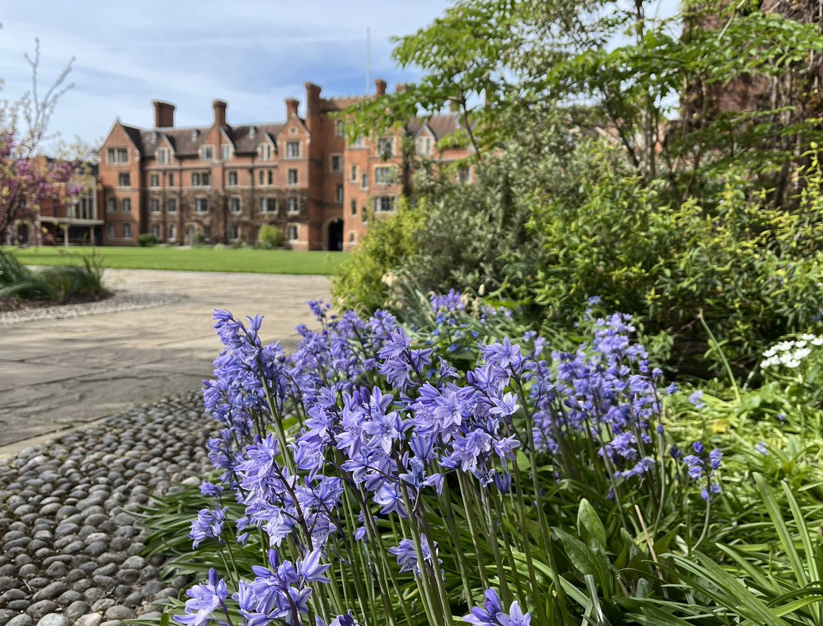 Selwyn College tweet media