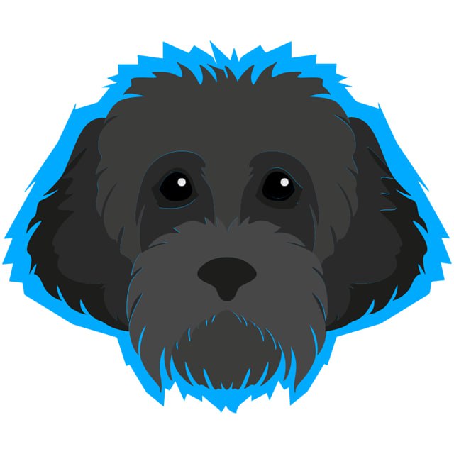 myrotondog's tweet photo. We are happy to welcome you to new heights, we are confidently moving upwards. Thank you for your trust and support. Woof $MYRO
#MYROONTON https://t.co/4tyo1ybpoE