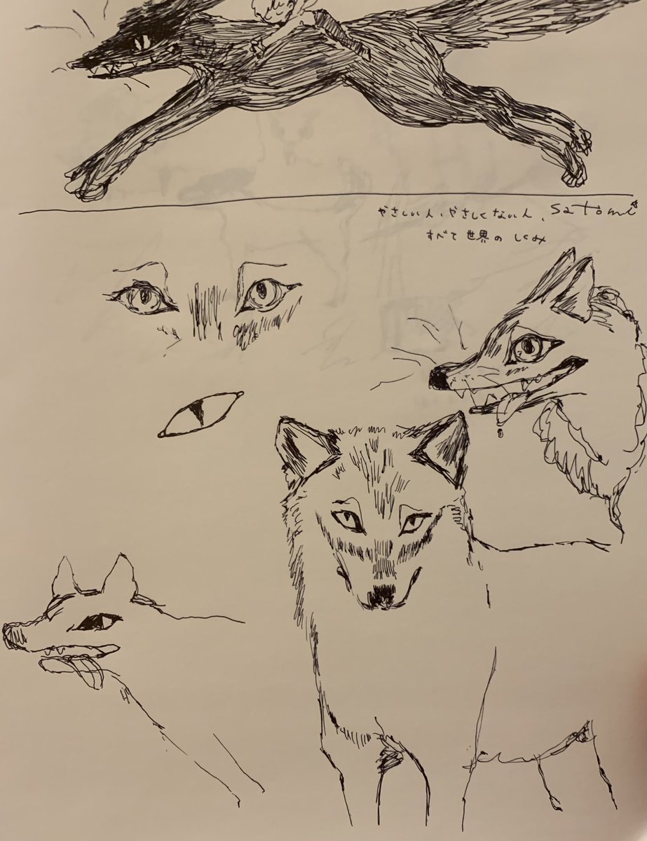 🐺 
