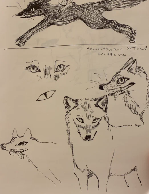 🐺 