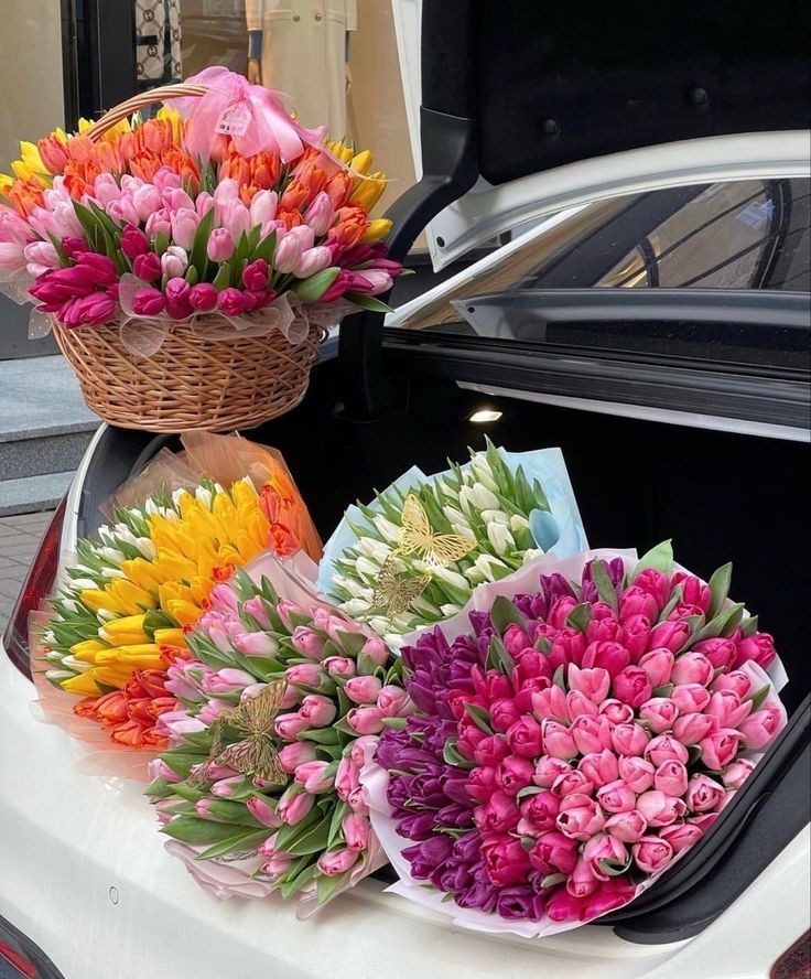 f⍳o⍵er (@flowers_7_) on Twitter photo 