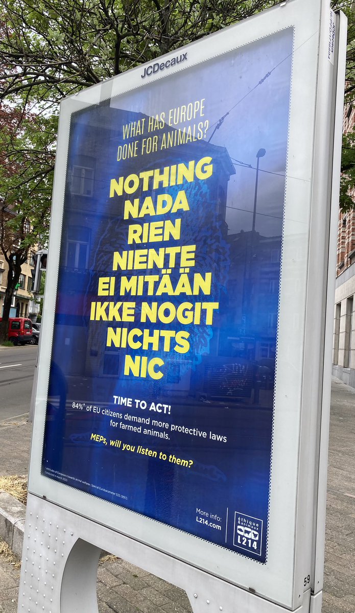 Spotted in the street 👇 Sadly true, the 🇪🇺 didn’t do much - if anything - on #FarmAnimalWelfareEU under this term. Yet *9 in 10* consumers would support new laws to improve the welfare of farmed animal, @beuc research found beuc.eu/sites/default/… #EUelections2024