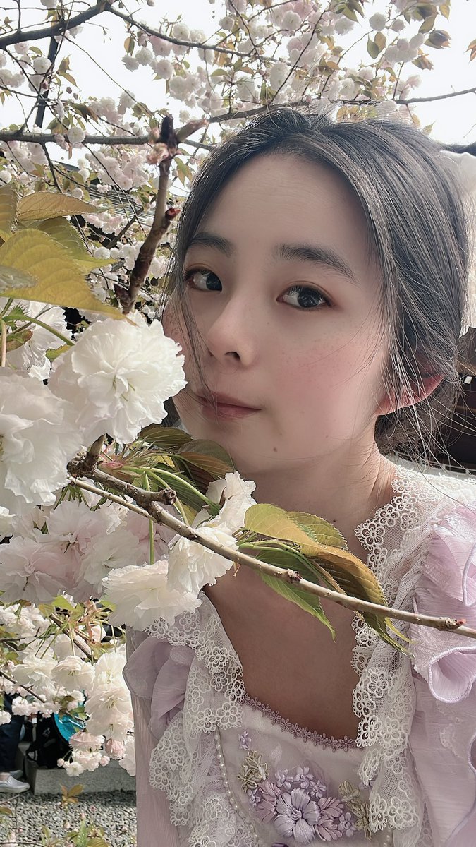 f60435's tweet photo. 前幾天去阿佐谷神社走走
這櫻花真的好美
可惜我懶惰沒化妝🥲
#阿佐谷 #桵 https://t.co/mqSAXVKpRc
