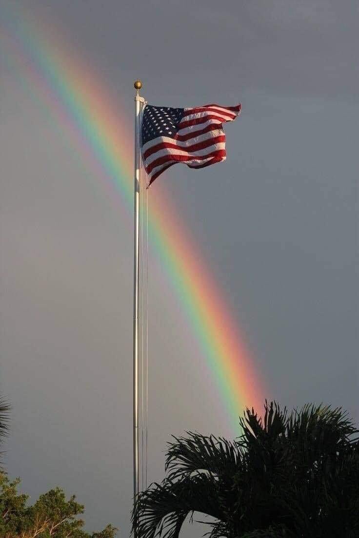 Good Morning Everyone!! I Pledge Allegiance to the Flag Of The United States of America and to the Republic For Which It Stands, One Nation Under God, Indivisible, With Liberty and Justice for All. God Bless America! #OustTreasonousPoliticians #RestoreOurFreedoms #MAGA💪🏼🇺🇸🇺🇸🇺🇸🇺🇸