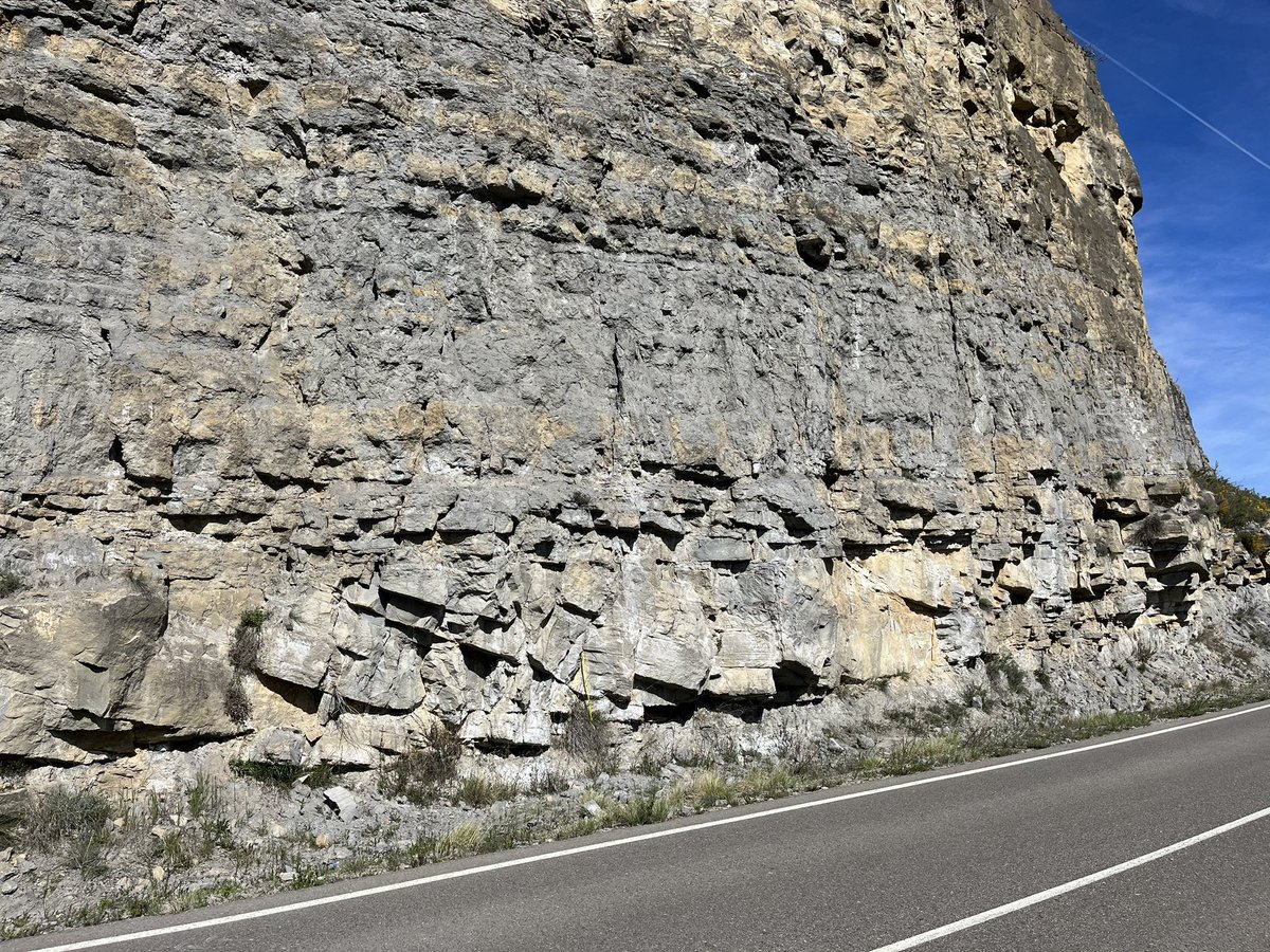 Uisdean Nicholson (@eileanclach) on Twitter photo <a href="/LyellCentre/">Lyell Centre</a> <a href="/HWU_IGE/">Heriot-Watt IGE</a> Tidal dune deposits from the Eocene, 40 million years ago <a href="/porousFlo/">Florian Doster</a> <a href="/LyellCentre/">Lyell Centre</a> <a href="/HWU_IGE/">Heriot-Watt IGE</a> Tidal dune deposits from the Eocene, 40 million years ago <a href="/porousFlo/">Florian Doster</a>