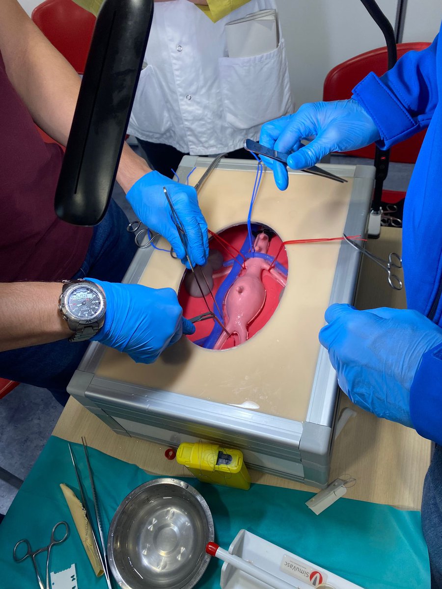 SimuVasc's tweet photo. Exciting news! SimuVasc simulators played a role in the recent V360 simulation course at @vallhebron. Endovascular aortic aneurysm repair explant workshop. Thanks to @sbellmunt y @SimulacioVH
Join us on our journey through vascular surgery simulation.
#simuvasc #valldhebron https://t.co/HbiK58oVKg