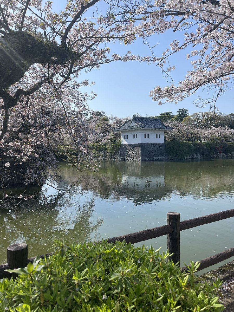 SnipesJS_'s tweet image. ☀️