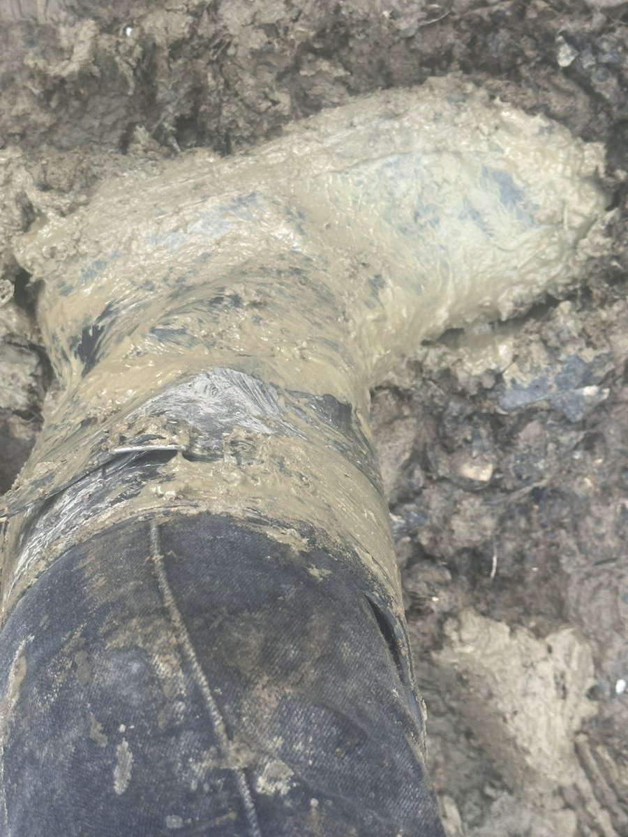 uuf361's tweet image. Quick muddy walk in the Jack Wills #mud #muddy #wellies