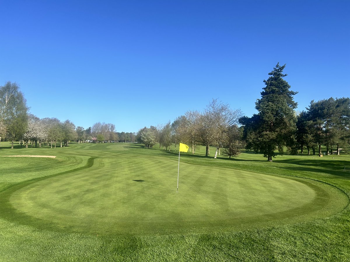 David Stewart tweet media