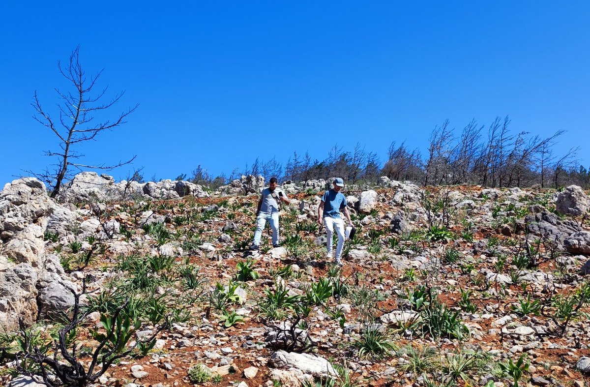 In the field with researchers Eppe Zandt of @WUR and @GiannisLouloud4 of @HMUniversity #SoilSampling at a recently burned part of Keri Forest, Crete. Higher temperatures🌡️#ClimateCrisis and strong summer winds will make wildfires 🔥 easier to set and more challenging to control